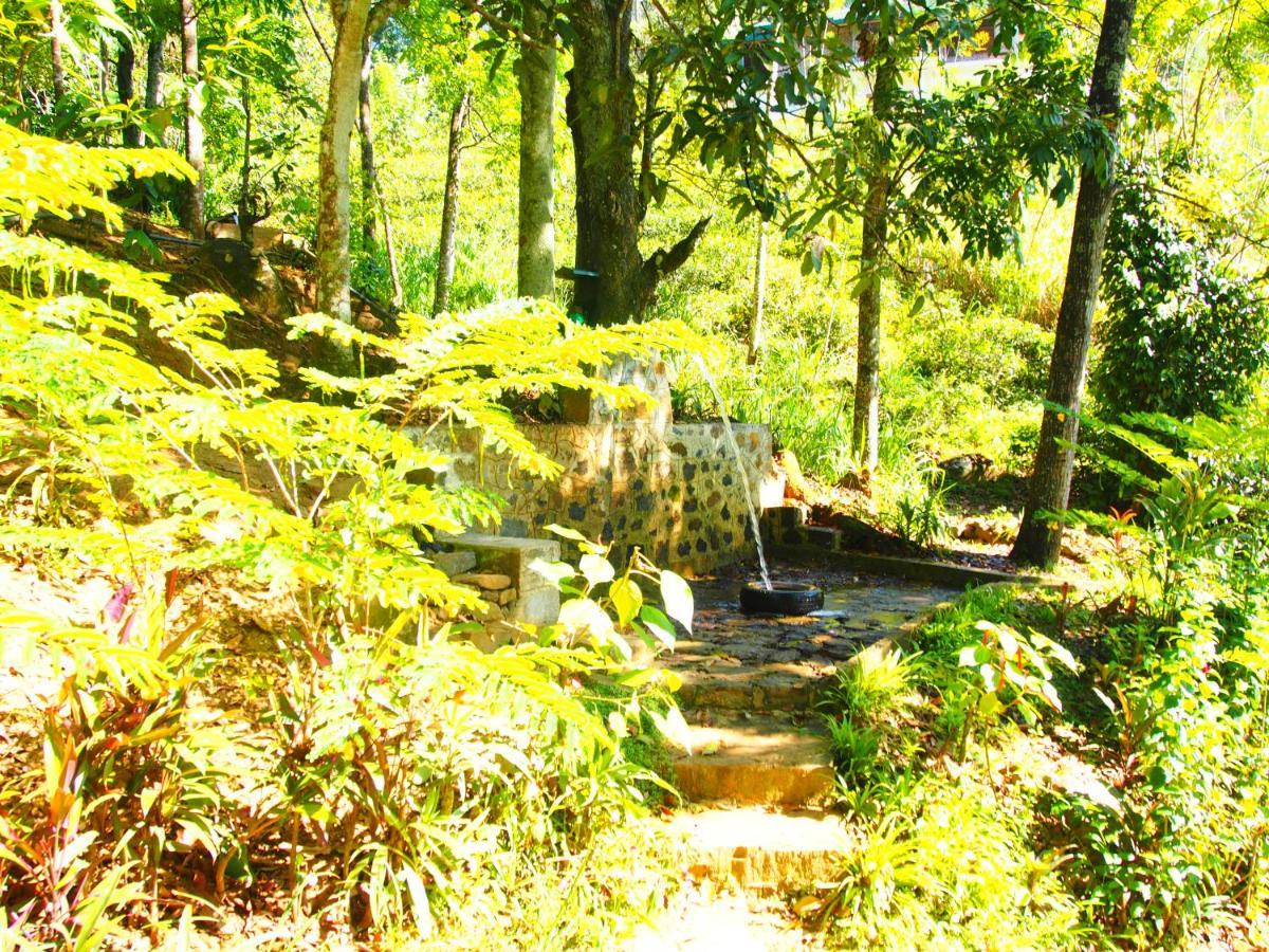 Tearamb Holiday Bungalow Otalawa Kültér fotó