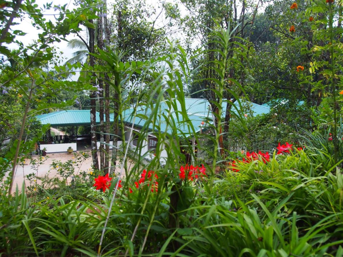 Tearamb Holiday Bungalow Otalawa Kültér fotó