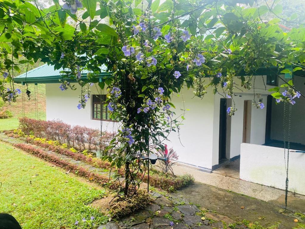 Tearamb Holiday Bungalow Otalawa Kültér fotó